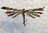  ( - MPG0726-08)  @11 [ ] CreativeCommons - Attribution Non-Commercial Share-Alike (2017) Mat Seidensticker MPG Ranch