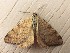  ( - MPG0807-13)  @12 [ ] CreativeCommons - Attribution Non-Commercial Share-Alike (2018) Unspecified MPG Ranch