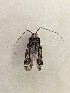  ( - MPGM0719-11)  @11 [ ] CreativeCommons - Attribution Non-Commercial Share-Alike (2018) Unspecified MPG Ranch