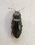  ( - MPGM0719-21)  @11 [ ] CreativeCommons - Attribution Non-Commercial Share-Alike (2018) Unspecified MPG Ranch