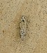  ( - LSC-081522-178)  @11 [ ] Creative Commons - Non-Commercial Share-Alike (2022) NRRES NRRES