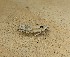  ( - LSC-081522-178)  @11 [ ] Creative Commons - Non-Commercial Share-Alike (2022) NRRES NRRES