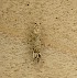  ( - LSC-080822-146)  @11 [ ] Creative Commons - Non-Commercial Share-Alike (2022) NRRES NRRES