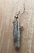  ( - SKAL0903-04)  @12 [ ] CreativeCommons - Attribution Non-Commercial Share-Alike (2018) Unspecified MPG Ranch