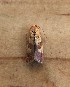  ( - TM071319-07)  @12 [ ] Creative Commons - Non-Commercial Share-Alike (2019) Unspecified MPG Ranch