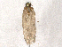  ( - BIOUG48937-E10)  @11 [ ] CreativeCommons - Attribution Share-Alike (2024) CBG Photography Group Centre for Biodiversity Genomics