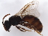  ( - BIOUG49210-H06)  @11 [ ] CreativeCommons - Attribution (2021) CBG Photography Group Centre for Biodiversity Genomics