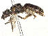  ( - BIOUG50200-C08)  @11 [ ] CreativeCommons - Attribution Share-Alike (2024) CBG Photography Group Centre for Biodiversity Genomics