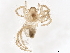  ( - BIOUG50743-F08)  @11 [ ] CreativeCommons - Attribution (2021) CBG Photography Group Centre for Biodiversity Genomics
