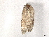  ( - BIOUG48899-G10)  @11 [ ] CreativeCommons - Attribution Share-Alike (2024) CBG Photography Group Centre for Biodiversity Genomics