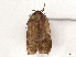  ( - BIOUG49428-F10)  @11 [ ] CreativeCommons - Attribution Share-Alike (2024) CBG Photography Group Centre for Biodiversity Genomics