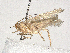  ( - BIOUG51054-H06)  @11 [ ] CreativeCommons - Attribution Share-Alike (2024) CBG Photography Group Centre for Biodiversity Genomics