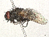  ( - BIOUG48931-H05)  @11 [ ] CreativeCommons - Attribution (2024) CBG Photography Group Centre for Biodiversity Genomics