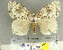 ( - CFIA-LEP0112)  @12 [ ] CreativeCommons - Attribution Share-Alike (2010) Canadian Food Inspection Agency Canadian Food Inspection Agency