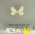  ( - CFIA-LEP0167)  @13 [ ] CreativeCommons - Attribution Share-Alike (2015) Canadian Food Inspection Agency Canadian Food Inspection Agency