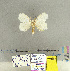  ( - CFIA-LEP0168)  @13 [ ] CreativeCommons - Attribution Share-Alike (2015) Canadian Food Inspection Agency Canadian Food Inspection Agency