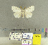  (DuraNAG - CFIA-LEP0169)  @13 [ ] CreativeCommons - Attribution Share-Alike (2015) Canadian Food Inspection Agency Canadian Food Inspection Agency