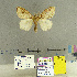  ( - CFIA-LEP0171)  @11 [ ] CreativeCommons - Attribution Share-Alike (2015) Canadian Food Inspection Agency Canadian Food Inspection Agency