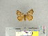  ( - CFIA-LEP0260)  @11 [ ] CreativeCommons - Attribution Share-Alike (2010) Canadian Food Inspection Agency Canadian Food Inspection Agency