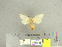  ( - CFIA-LEP0261)  @11 [ ] CreativeCommons - Attribution Share-Alike (2010) Canadian Food Inspection Agency Canadian Food Inspection Agency