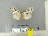  ( - CFIA-LEP0318)  @13 [ ] CreativeCommons - Attribution Share-Alike (2010) Canadian Food Inspection Agency Canadian Food Inspection Agency