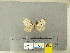  ( - CFIA-LEP0341)  @11 [ ] CreativeCommons - Attribution Share-Alike (2010) Canadian Food Inspection Agency Canadian Food Inspection Agency