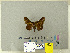  ( - CFIA-LEP0356)  @13 [ ] CreativeCommons - Attribution Share-Alike (2010) Canadian Food Inspection Agency Canadian Food Inspection Agency