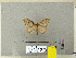  ( - CFIA-LEP0364)  @12 [ ] CreativeCommons - Attribution Share-Alike (2010) Canadian Food Inspection Agency Canadian Food Inspection Agency