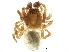  ( - BIOUG14304-C03)  @14 [ ] CreativeCommons - Attribution (2016) CBG Photography Group Centre for Biodiversity Genomics