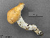  ( - MQ19-YL4163-CMMF020712)  @11 [ ] CreativeCommons - Attribution Non-Commercial No Derivatives (2010) Yves Lamoureux Universite de Montreal, Biodiversity Center