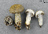  ( - MQ19-YL4245-CMMF020719)  @11 [ ] CreativeCommons - Attribution Non-Commercial No Derivatives (2013) Yves Lamoureux Universite de Montreal, Biodiversity Center