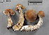  ( - MQ19-YL4303-CMMF020727)  @11 [ ] CreativeCommons - Attribution Non-Commercial No Derivatives (2015) Yves Lamoureux Universite de Montreal, Biodiversity Center