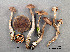  ( - MQ19-YL4368-CMMF020741)  @11 [ ] CreativeCommons - Attribution Non-Commercial No Derivatives (2017) Yves Lamoureux Universite de Montreal, Biodiversity Center