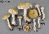  ( - MQ19-YL4408)  @11 [ ] CreativeCommons - Attribution Non-Commercial No Derivatives (2018) Yves Lamoureux Universite de Montreal, Biodiversity Center