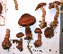  ( - MQ18-HL1484.1)  @11 [ ] Copyright  Herman Lambert Unspecified