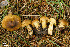  ( - MQ18099)  @11 [ ] Copyright (2009) Renée Lebeuf Unspecified