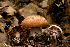  ( - MQ18-HRL494-QFB29849)  @11 [ ] Copyright (2010) Renée Lebeuf Unspecified