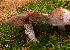  ( - MQ18-HRL650-QFB29913)  @11 [ ] Copyright (2010) Renée Lebeuf Unspecified