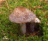  ( - MQ18-HRL650-QFB29913)  @11 [ ] Copyright (2010) Renée Lebeuf Unspecified