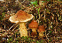 ( - MQ18-HRL798-QFB29917)  @11 [ ] Copyright (2011) Renée Lebeuf Unspecified