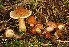  ( - MQ18-HRL798-QFB29917)  @11 [ ] Copyright (2011) Renée Lebeuf Unspecified