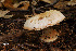  ( - MQ18-HRL899-QFB29924)  @11 [ ] Copyright (2011) Renée Lebeuf Unspecified