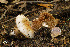  ( - MQ18-HRL899-QFB29924)  @11 [ ] Copyright (2011) Renée Lebeuf Unspecified