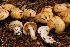  ( - MQ18-HRL909-QFB29927)  @11 [ ] Copyright (2011) Renée Lebeuf Unspecified