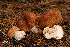  ( - MQ18-HRL910-QFB29928)  @11 [ ] Copyright (2011) Renée Lebeuf Unspecified