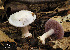  ( - MQ18-HRL932-QFB29934)  @11 [ ] Copyright (2011) Renée Lebeuf Unspecified