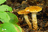  ( - MQ18-HRL1207-QFB29942)  @11 [ ] Copyright (2012) Renée Lebeuf Unspecified