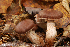  ( - MQ18-HRL1217-QFB29858)  @11 [ ] Copyright (2012) Renée Lebeuf Unspecified