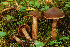  ( - MQ18-HRL1224-QFB29859)  @11 [ ] Copyright (2012) Renée Lebeuf Unspecified