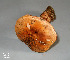  ( - MQ18-HRL1302-QFB29950)  @11 [ ] Copyright (2012) Renée Lebeuf Unspecified